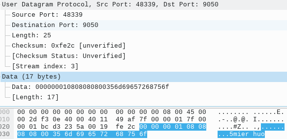 UDP 中继数据包样例